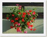 2007-08-26_18-08-48_Aout_117,0mm_1_250_eme_DiMAGE A2 * 2560 x 1920 * (4.37MB)